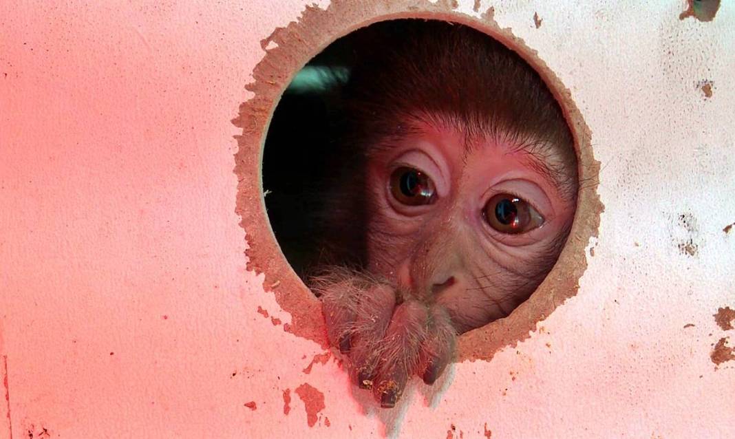 Otobüsle gönderilen koliyi kimse almayınca şoke eden gerçek ortaya çıktı! Hiç kimse bu kadar absürtlüğü tahmin edemezdi 11